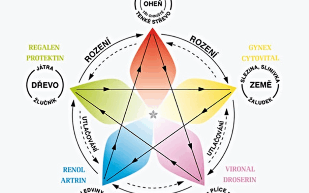 Regenerace v pentagramu